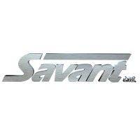 savant, ltd. logo image