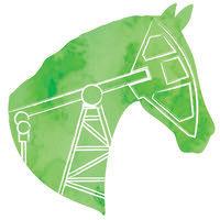 horsehead consulting llc logo image