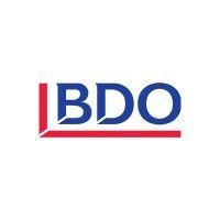 bdo in new zealand logo image