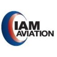 iam aviation logo image