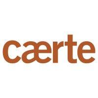 caerte, llc logo image