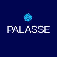 palasse digital logo image