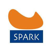 spark modern fires logo image