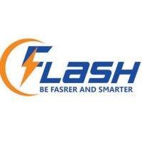 flashct viet nam logo image