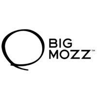 big mozz logo image