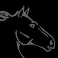 stallion construction group inc. logo image