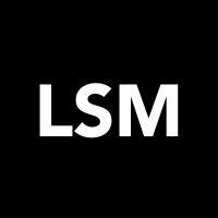 designlsm logo image