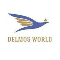 delmos world pvt ltd logo image