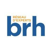 brh logo image