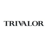 trivalor sgps, sa logo image