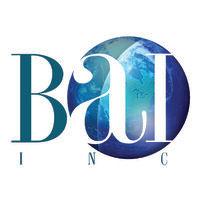 bai inc - meeting client challenges with vision and innovation logo image