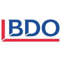 bdo jersey logo image