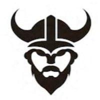 viking-analytics logo image