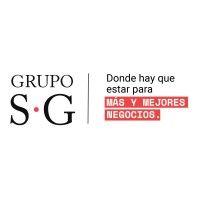 grupo syg logo image