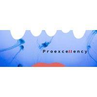 proexcellency solutions pvt ltd logo image