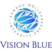 vision blue logo image