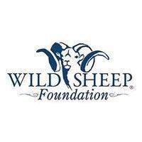 wild sheep foundation logo image