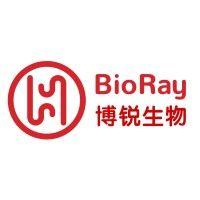 bioray pharmaceutical logo image