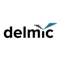 delmic logo image