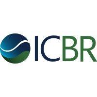 icbr - instituto dos contadores do brasil logo image