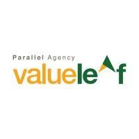 valueleaf services (india) pvt. ltd. logo image