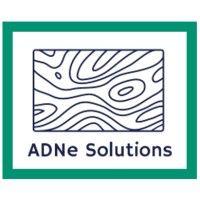 adn-e solutions logo image