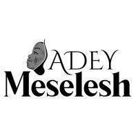 adey meselesh gmbh logo image