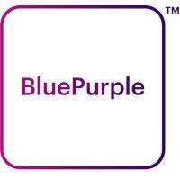 blue purple logo image