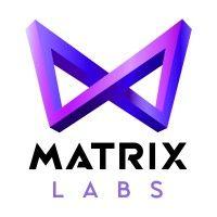 matrix labs logo image