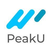 peaku ai logo image