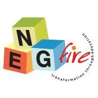 new education group – foundation for innovation and research in education (neg-fire) logo image