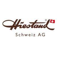 hiestand schweiz ag logo image