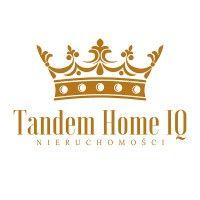 tandem home iq logo image