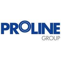 proline group relining system logo image