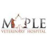 maple veterinary hospital