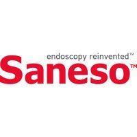 saneso inc. logo image