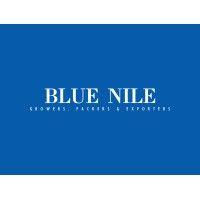 blue nile egypt logo image