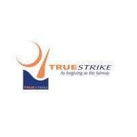 truestrike golf practice mats logo image