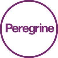 peregrine guarding logo image