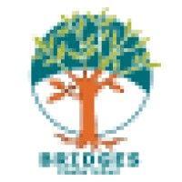 bridges charter school logo image