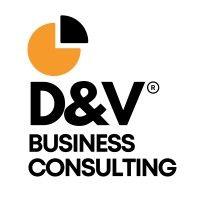 d&v business consulting logo image