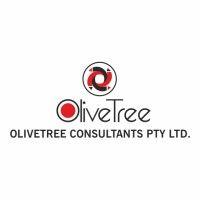 olivetree consultants logo image