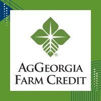 aggeorgia farm credit logo image