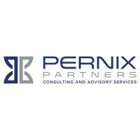 pernix partners inc. logo image