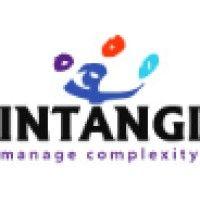 intangi, inc. logo image