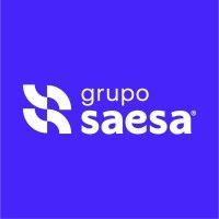 grupo saesa