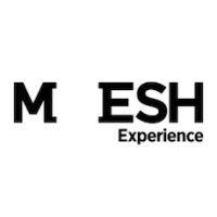 mesh experience logo image