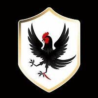 black rooster inc. logo image