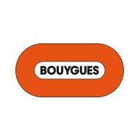 bouygues group logo image