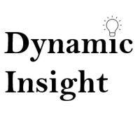 dynamic insight logo image